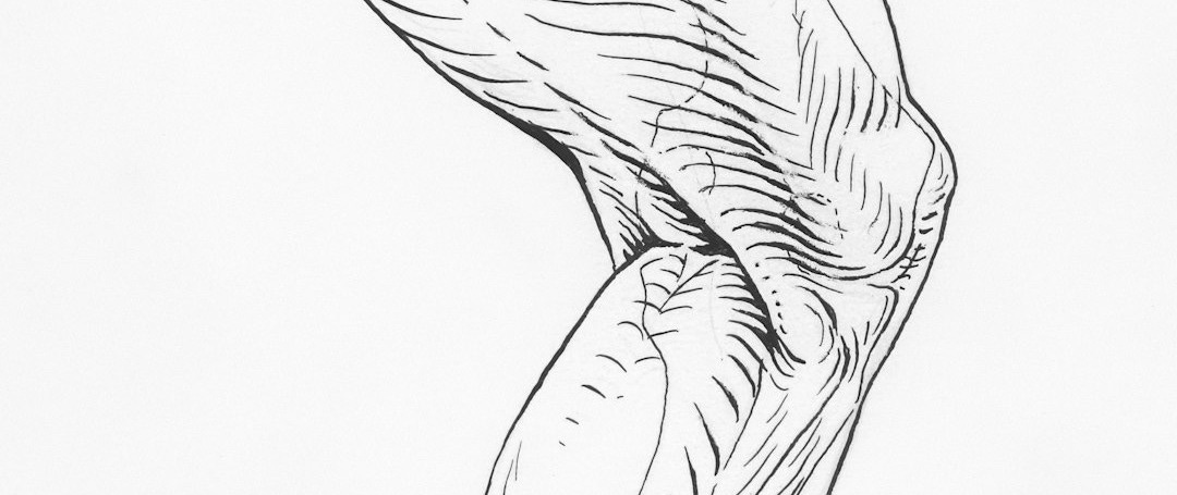 a drawing of a bird flying in the sky