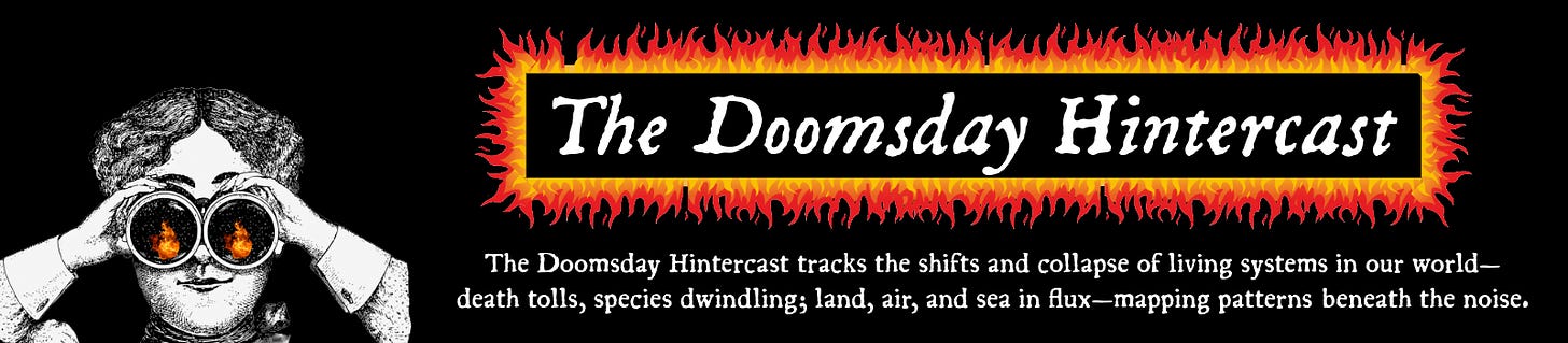 Doomsday Hintercast section banner for the Liminal almanac: vintage gentleman with binoculars gazing through flames, fiery orange-red border; tracking collapse of living systems, death tolls, species decline, land air sea flux, patterns beneath the noise
