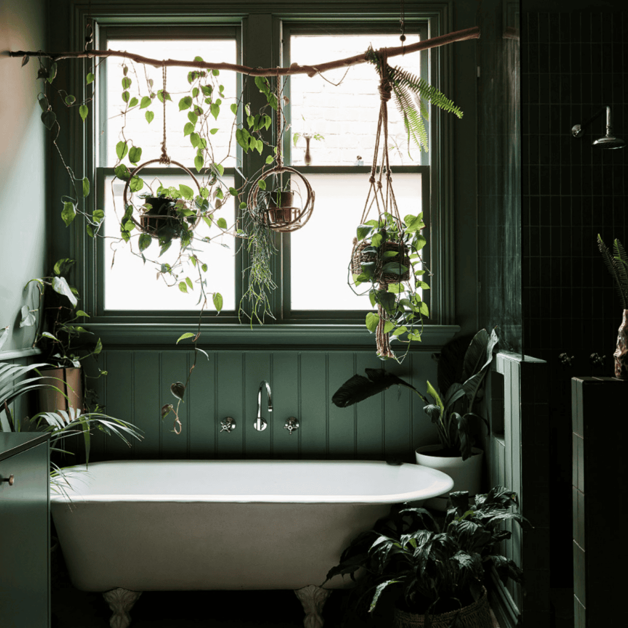 Dark bathroom with several plants.