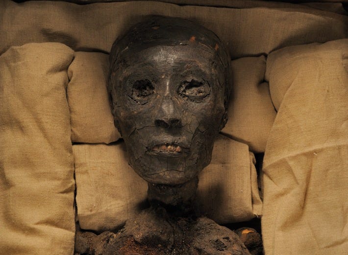 Digs & Discoveries - The Case of Tut's Missing Collar - Archaeology  Magazine - September/October 2022