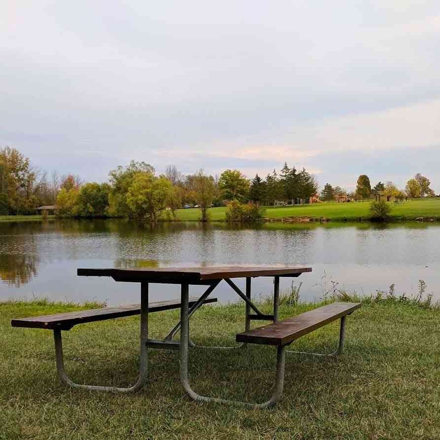 perfect picnic spot black creek park