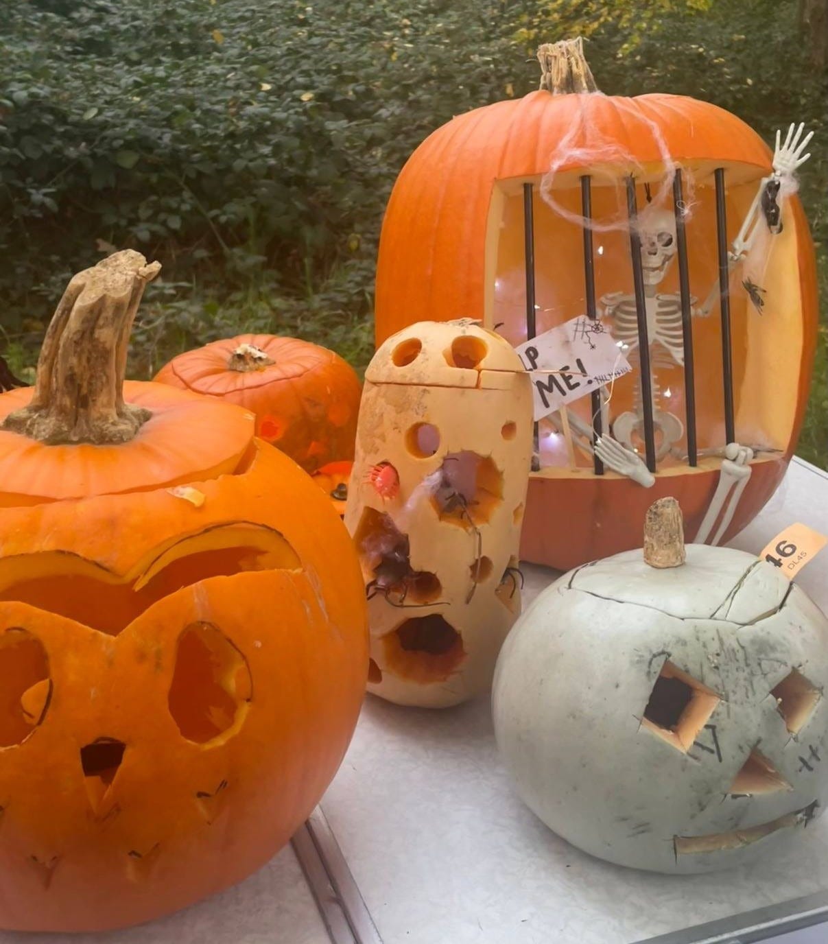 May be an image of owl May be an image of owl