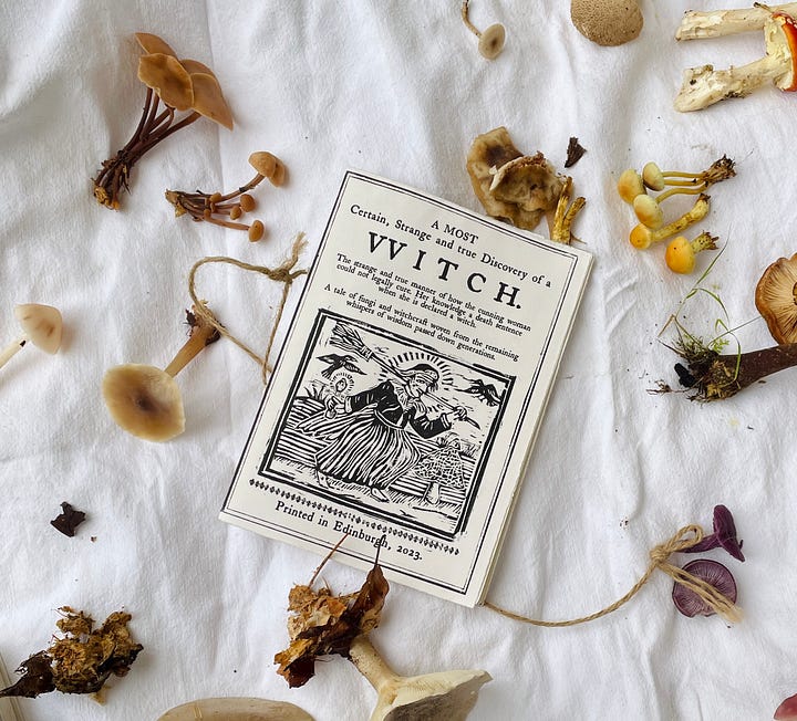 pictures of the WITCH zine surrounded by fungi 