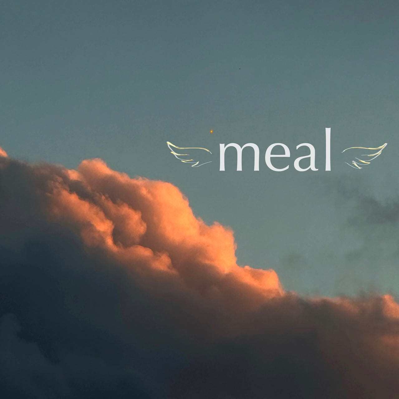 Substack profile picture for @meal