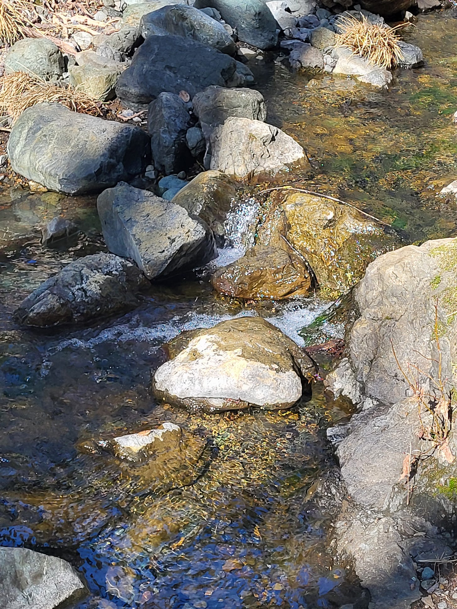 Retrasos, Interrupciones y Desvíos Divinos