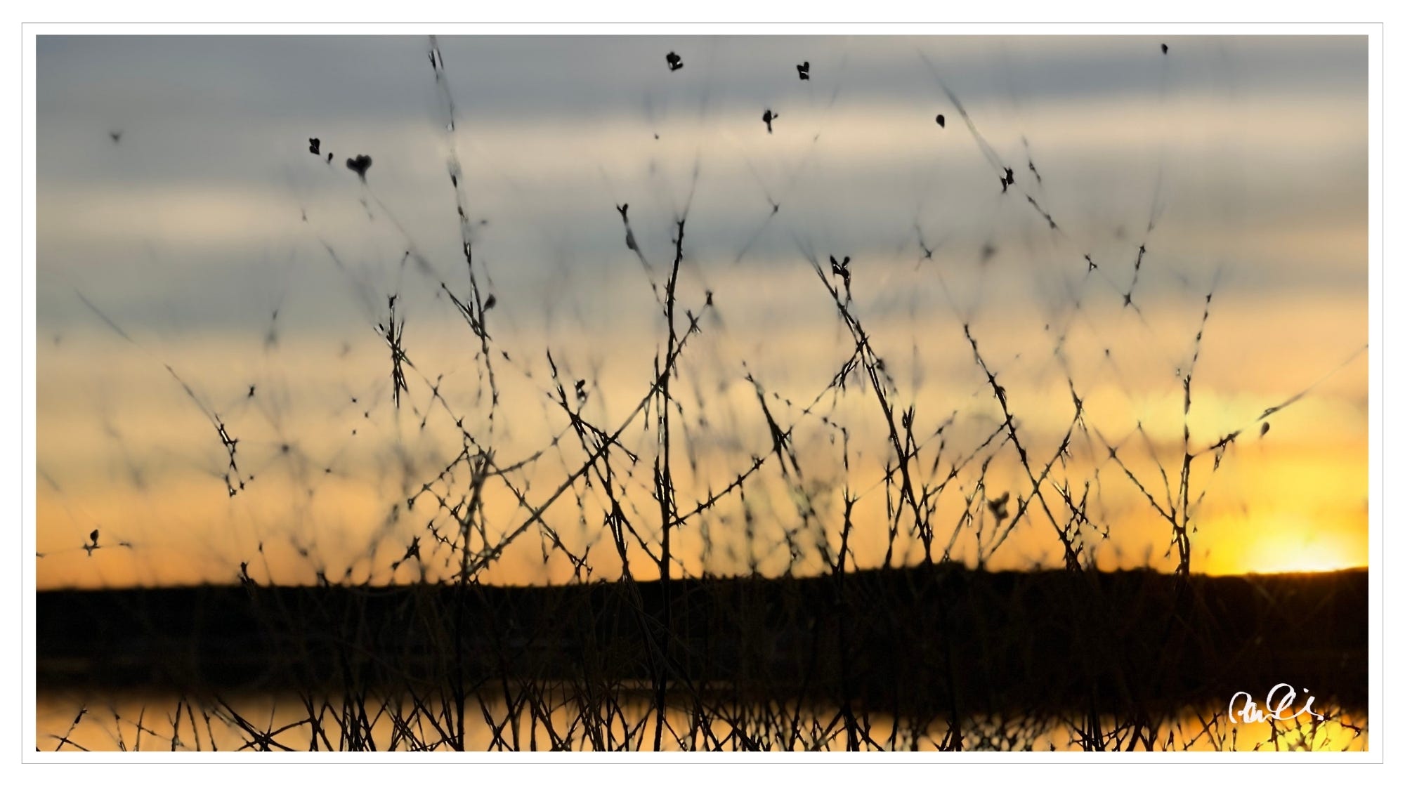 Abstract, NM sunrise