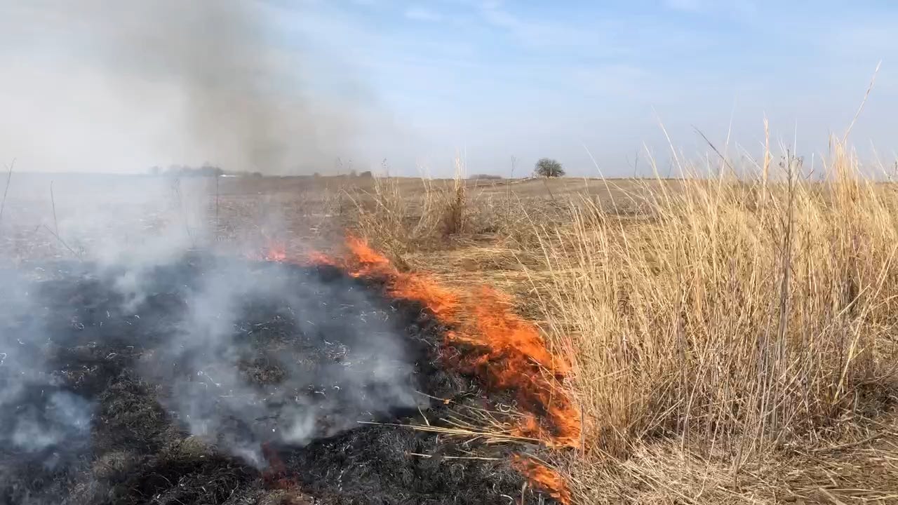 Using Prescribed Burning to Manage On-Farm Habitat - Practical Farmers of Iowa Using Prescribed Burning to Manage On-Farm Habitat - Practical Farmers of Iowa