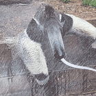 Tiny Bones Of Nasty Hobbitses! Tabs, Wed., Aug. 14, 2024