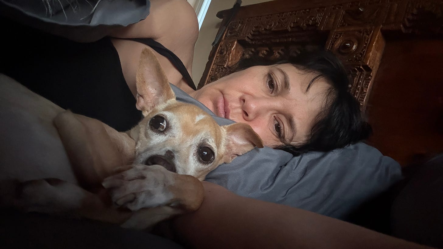 Laverne lying down in bed with her dog Roo, a small cream colored chihuahua. It is daytime but the room is dark.