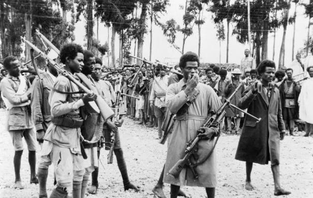 Africans fought in World War 2
 Africans fought in World War 2