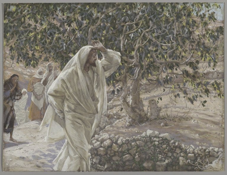 File:Brooklyn Museum - The Accursed Fig Tree (Le figuier maudit) - James Tissot.jpg File:Brooklyn Museum - The Accursed Fig Tree (Le figuier maudit) - James Tissot.jpg