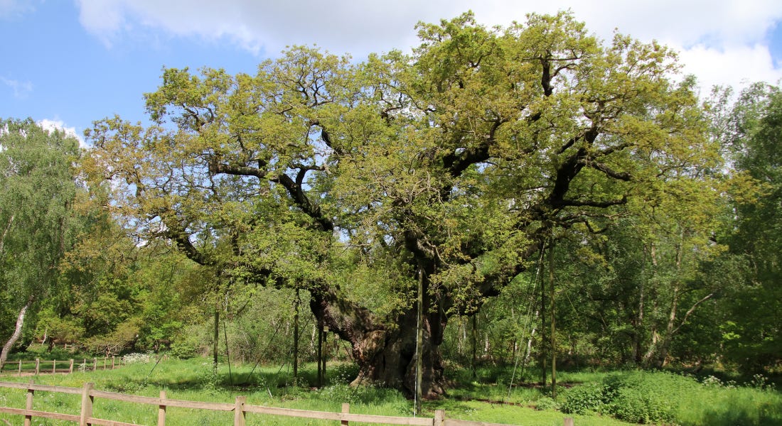 Nottingham tourist attractions — 8 of the best places to visit