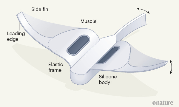 Figure 1 Figure 1