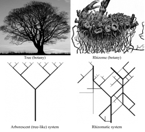 Deleuze (& Guattari) envisioned thinking as rhizomatic—a complex unity with neither beginning nor end—extending beyond the limitations of arborescent linearity. Deleuze (& Guattari) envisioned thinking as rhizomatic—a complex unity with neither beginning nor end—extending beyond the limitations of arborescent linearity.