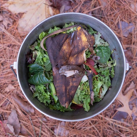 A grid of nine tin buckets of compost.