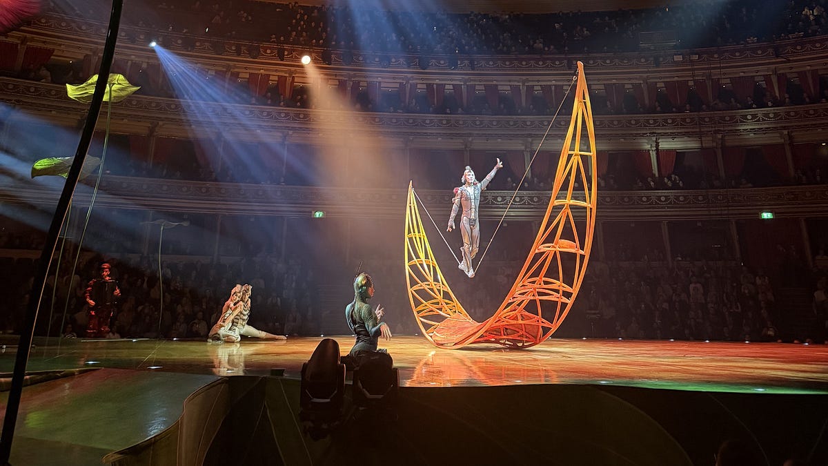 The Exhilaration of Acrobatics - The Plum Edit