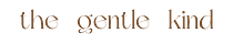 The Gentle Kind: A holistic recovery as a patient/doctor