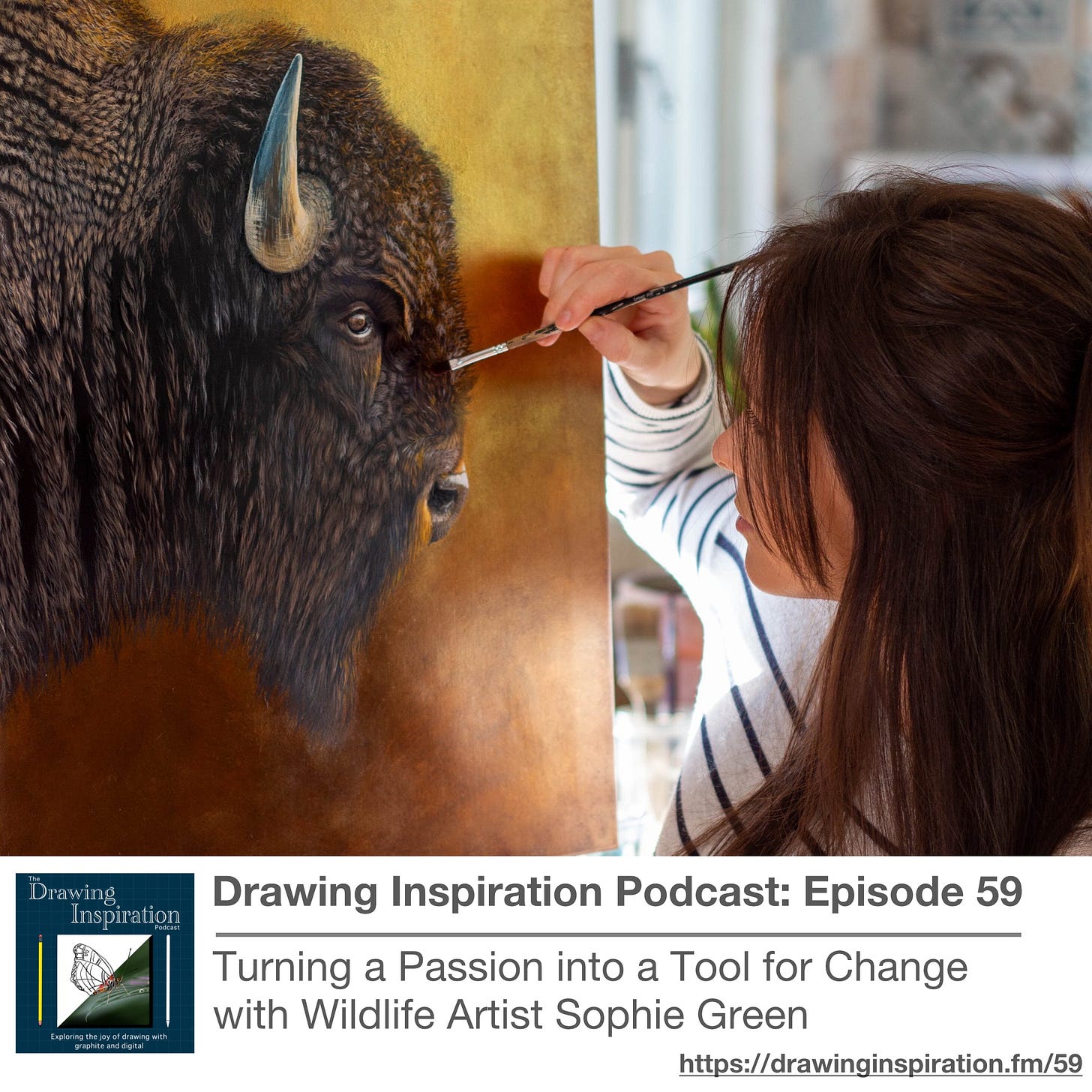 59: Turning a Passion into a Tool for Change with Wildlife Artist Sophie Green