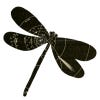 andar até a igrejinha logo