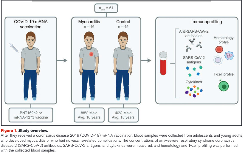 Breaking Study: Spike Protein Runs Amok in Young Adults Suffering from Vaxxed Myocarditis