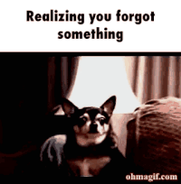 You Forgot GIFs - Find & Share on GIPHY
