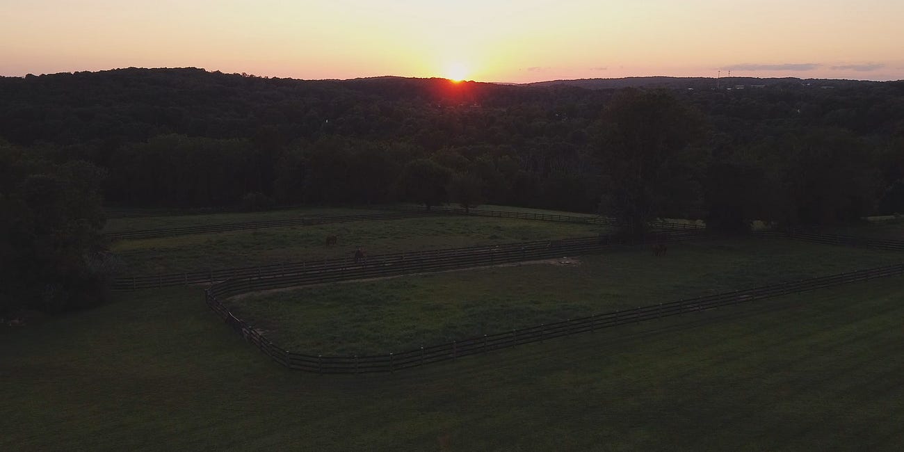 Dragonflies Unite | September 20 at 6PM