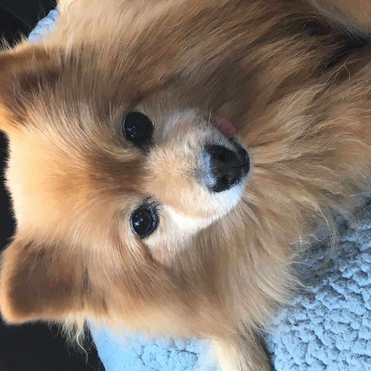 Artwork for The Riley Roo Way’s Substack