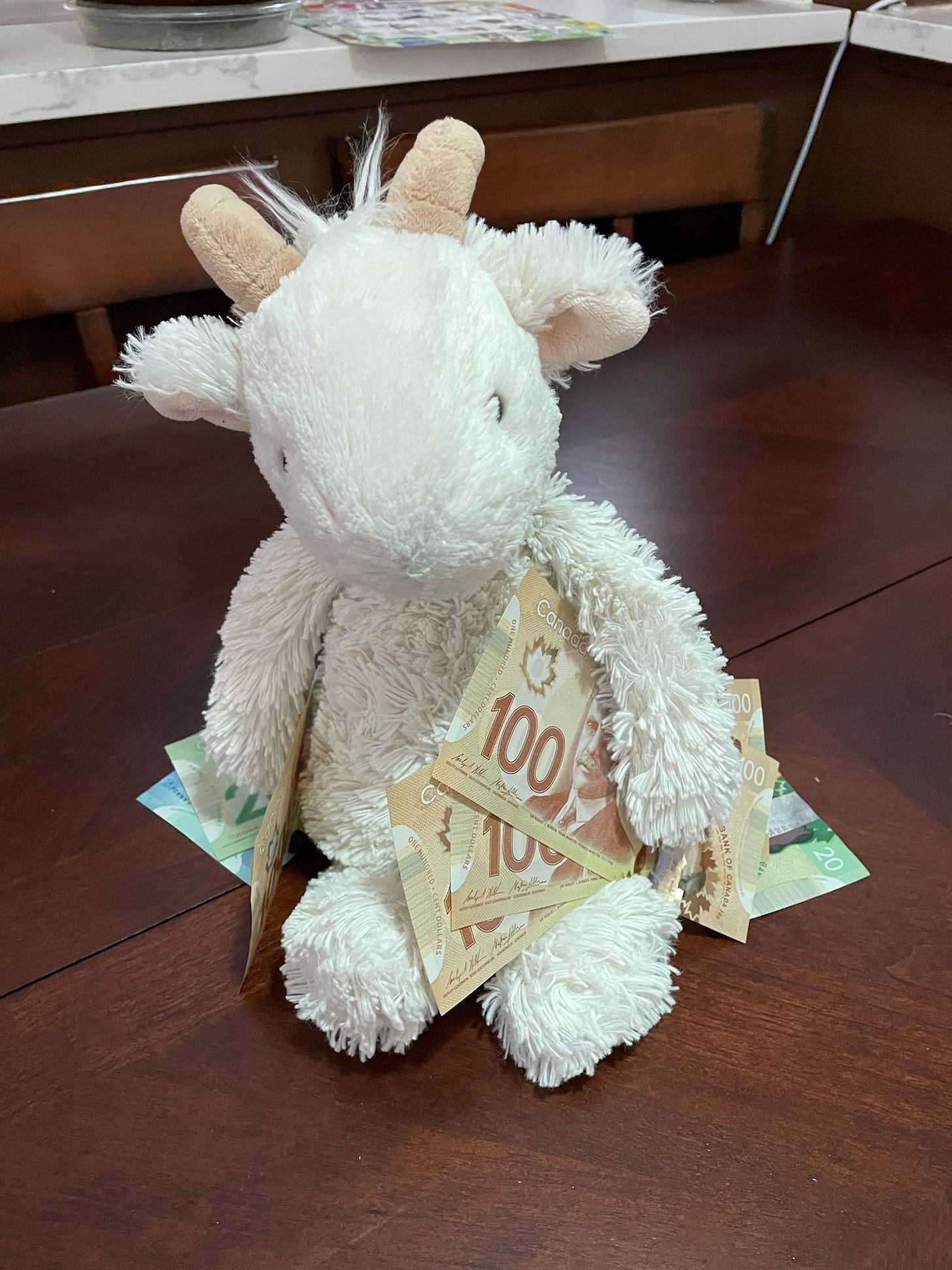 A stuffed white toy goat sits on a table holding Canadian cash