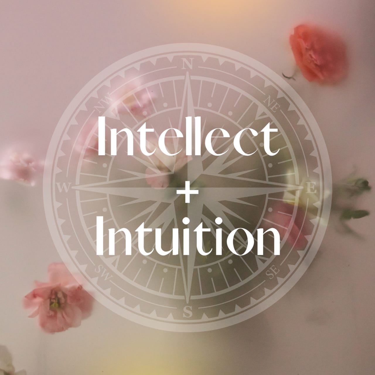 Intellect + Intuition