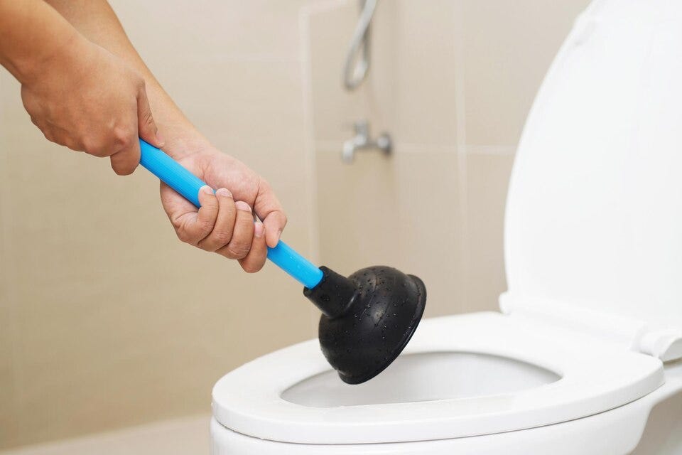 Clogged Toilet Repair: DIY & Expert Solutions in 2025