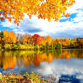 On Autumn