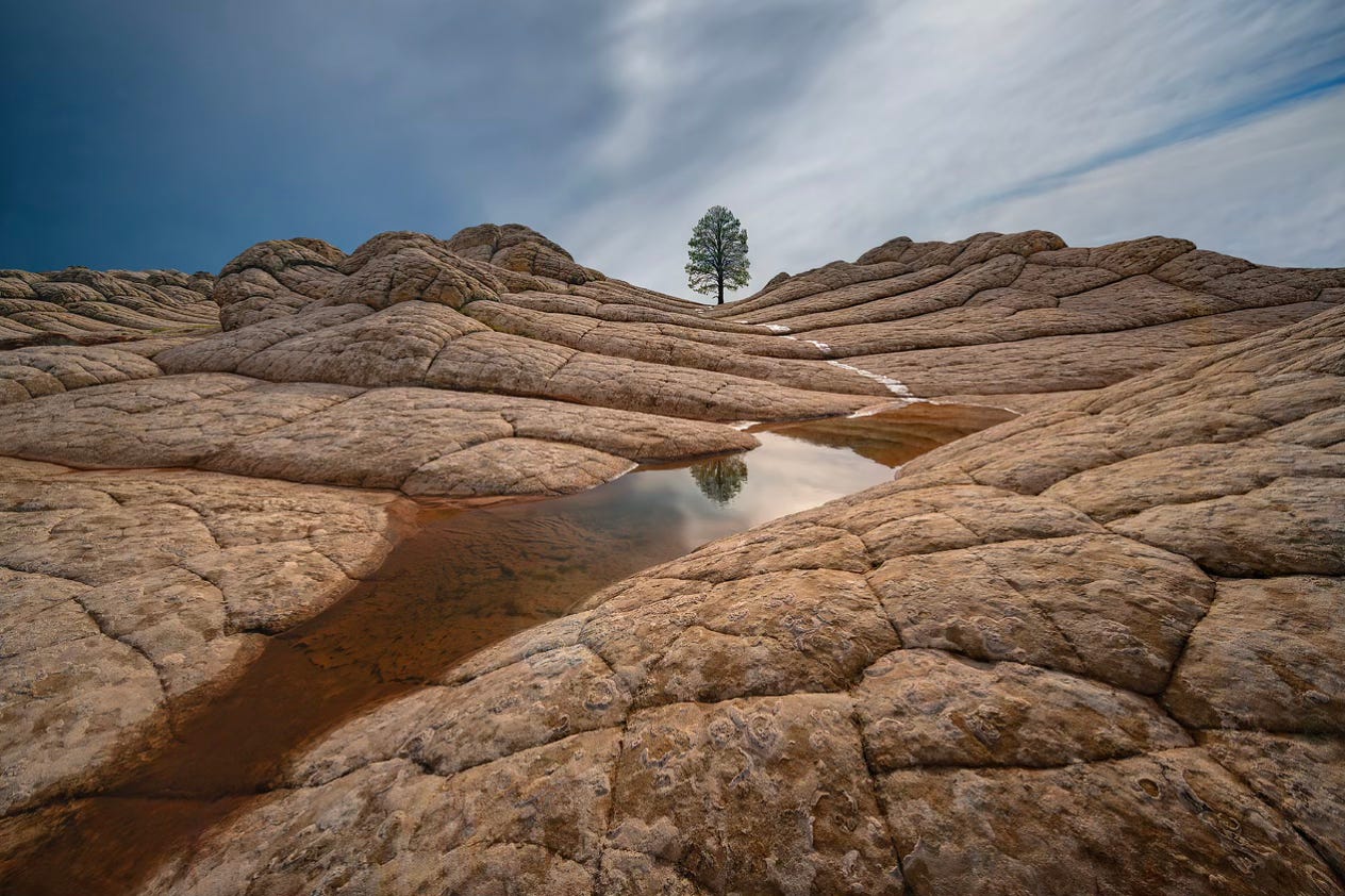 Mark Metternich - PHOTOSNACK