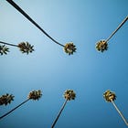 Max Goes To Hollywood • Part 1