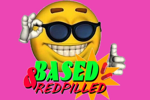 Based and redpilled: the FBI links internet slang to violent extremism |  Dazed