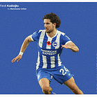 Ferdi Kadioğlu: All Actions