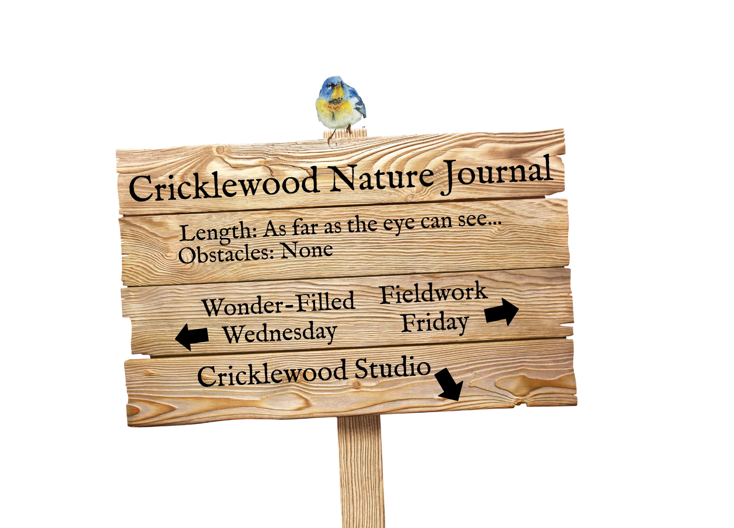 trailhead sign with bird