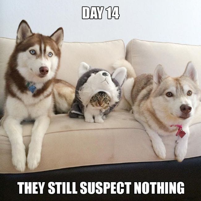One Of These Things Is Most Definitely Not Like The Others | Others