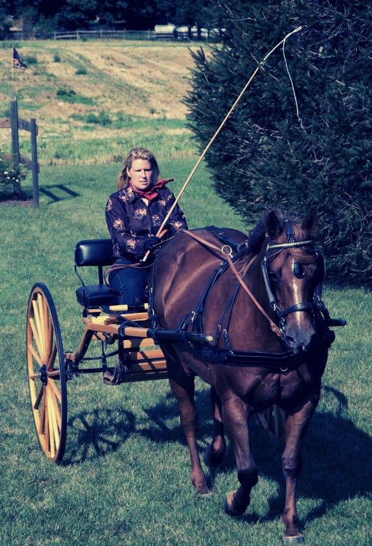 woman in buggy with whip