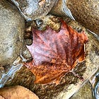 🍂 Fall’s Melancholy.