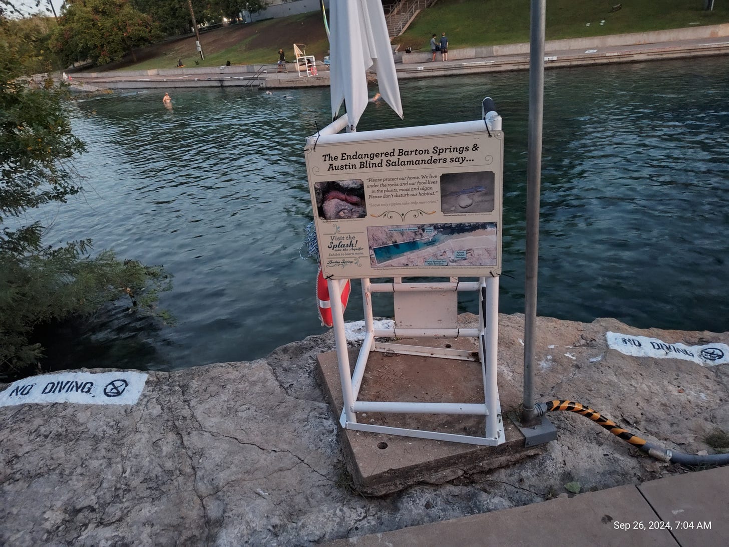 Sign by swimming pool with information about Barton Springs salamanders