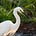 Eliza Egret's avatar