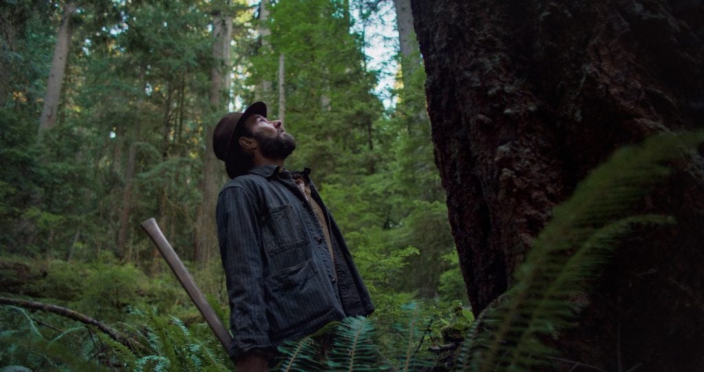 Train Dreams": Behind the Majestic Visuals of Joel Edgerton's Pacific  Northwest Epic - The Credits