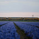 'Time' explained through six levels of difficulty