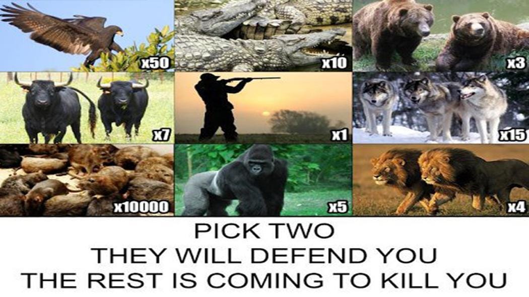 We Can't Stop Arguing About This Stupid Meme