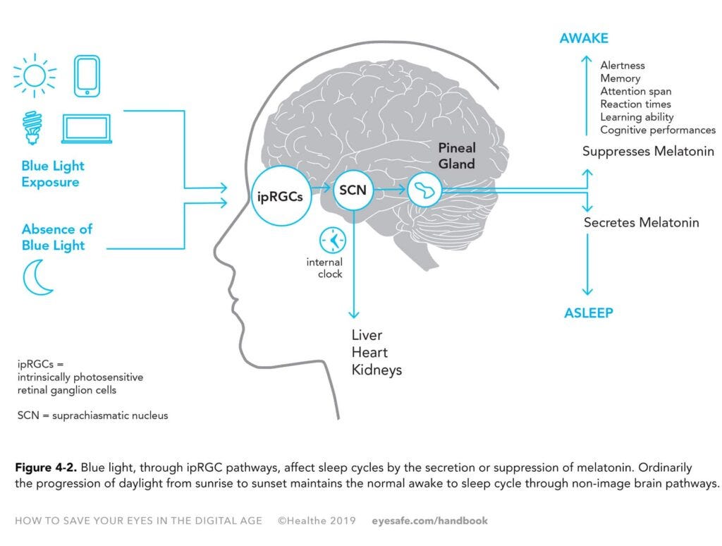 Chapter 4 - Circadian Rhythm | Eyesafe