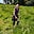 Iona - EarthyHeaven's avatar