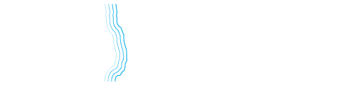 The Bight