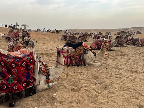 photos of Egyptian pyramids and Sphinx