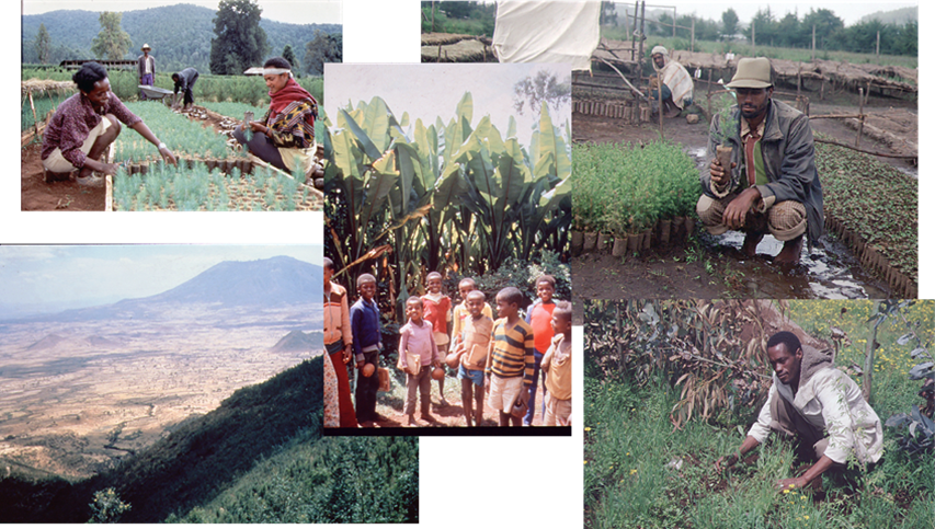 Image gallery showing Ethiopia in the 1980s featuring: two women tending to tree seedlings in a nursery; a landscape shot of Ethiopian highlands; a group of children standing beside trees; two men tending to tree seedlings. Image gallery showing Ethiopia in the 1980s featuring: two women tending to tree seedlings in a nursery; a landscape shot of Ethiopian highlands; a group of children standing beside trees; two men tending to tree seedlings.