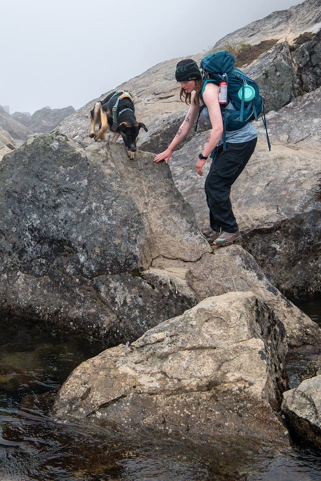 A black and tan dog in a teal harness creeps nose-first down a steep granite slab toward its owner, who stands braced on the rock below in a beanie and tank top, one hand resting on the slab and the other reaching back toward the dog. Dark water pools among the boulders below them. Fog fills the background.